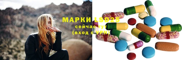 прущие грибы Алексеевка