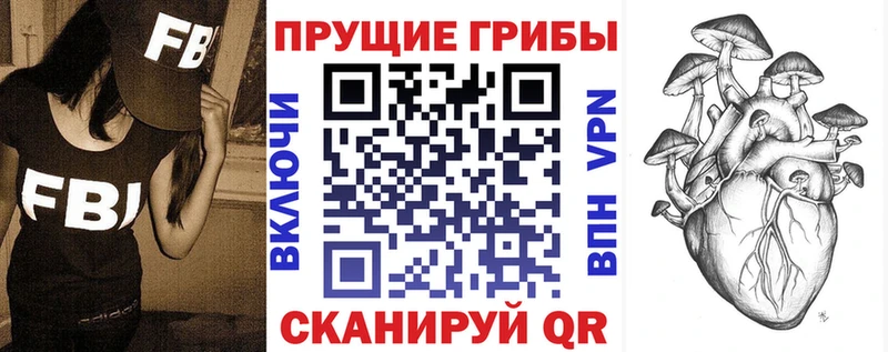 закладки Копейск mega ССЫЛКА Галлюциногенные грибы Psilocybine cubensis