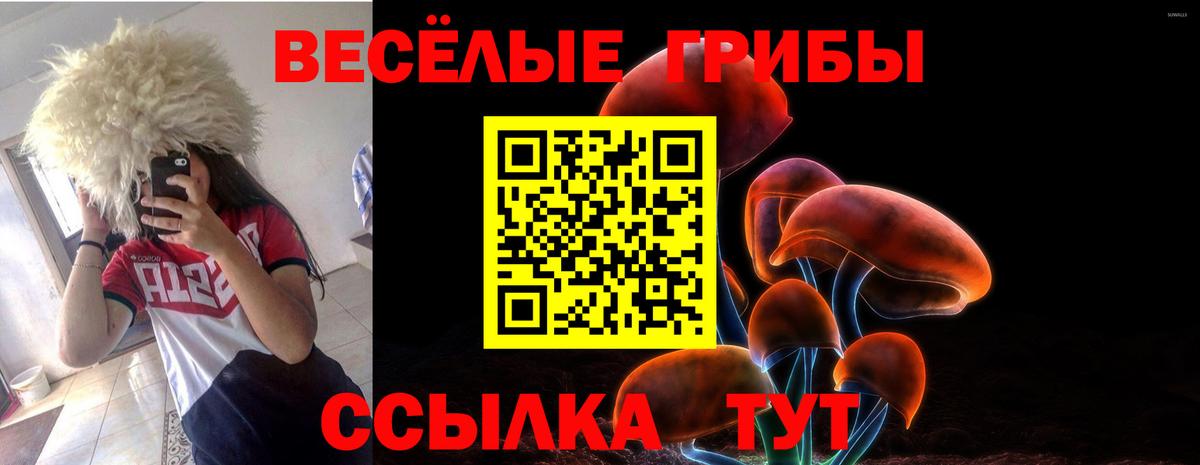 Галлюциногенные грибы MAGIC MUSHROOMS Копейск